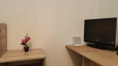 a television sitting on a desk with a vase of flowers at Роден Край Homeland in Sopot