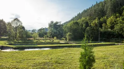 a field with a river and trees in the background at Къща за гости Черна река in Ribarica