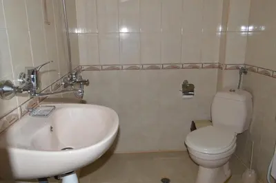 a bathroom with a white toilet and a sink at Къща за гости Каневи in Momchilovtsi