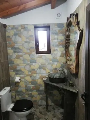 a bathroom with a sink and a toilet at GUEST HOUSE ELENA in Kosovo