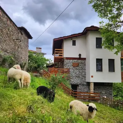 GUEST HOUSE ELENA