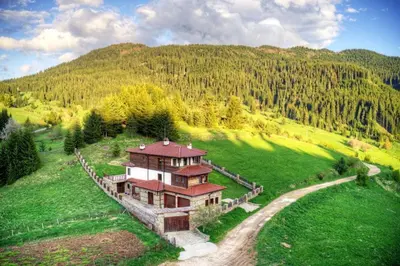 an aerial view of a house in a green field at Stoykite-Pamporovo Nature Retreat in Stoykite