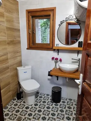 a bathroom with a toilet and a sink at Вила Пенчеви, кк. Цигов чарк in Tsigov Chark