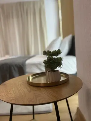 a table with a potted plant on top of it at Sandanski Apartments Park Center in Sandanski