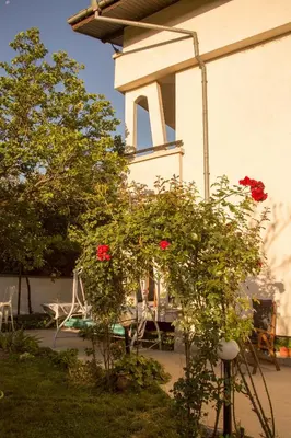 a garden with roses and chairs in front of a building at вила Топи in Kaloyanovo