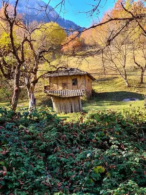 a small house in the middle of a field at Вила АРБОРЕТУМ - онлайн self check-in in Teteven