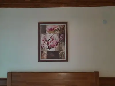 a picture of pink flowers on a white wall at Private Studio Pirin Golf Hotel Bansko in Razlog