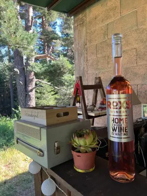 a bottle of wine sitting on a table next to a plant at Zarevo Glamping in Skobelevo