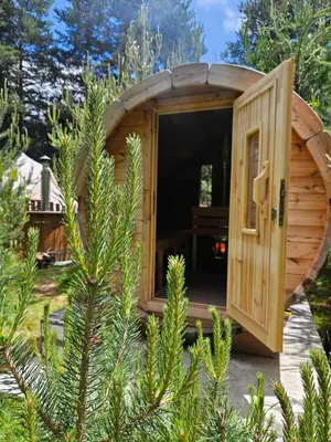 a wooden sauna with a wooden door in a forest at Zarevo Glamping in Skobelevo