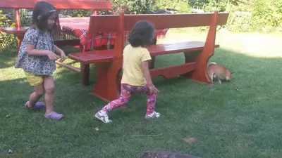 two young girls playing with a dog in the grass at Sharkov Guest House in Dolen