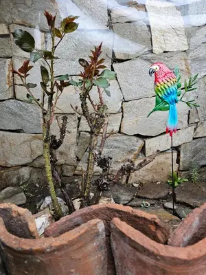 a colorful bird sitting on top of a potted plant at Емили Фемили Хаус in Koprivshtitsa