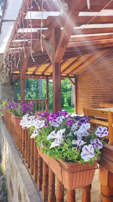 a row of potted flowers in a greenhouse at Къща за гости ЕКО in Tsigov Chark