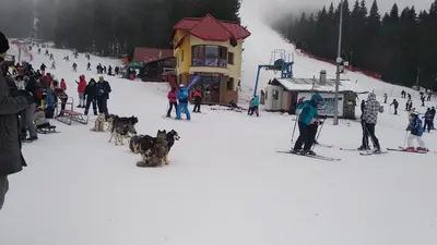 a group of people on skis in the snow near a ski lodge at Snow Dreams 1 Grand Monastery in Pamporovo