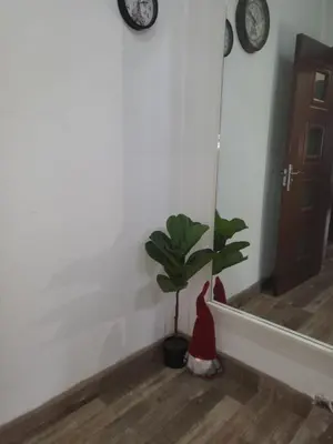 a santa claus plant in a room with clocks at Boina House in Bansko