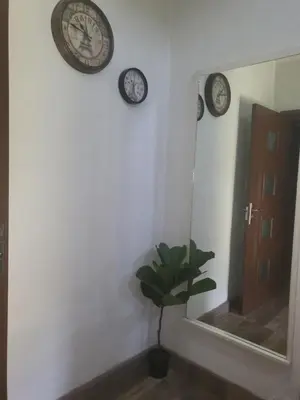 a room with clocks on the wall and a plant at Boina House in Bansko