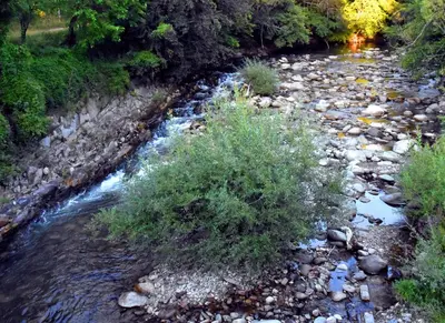 a river with rocks and a bush in the middle at GUEST HOUSE TONI СТАИ за ГОСТИ ТОНИ in Ribarica
