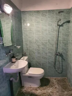 a bathroom with a toilet and a sink and a shower at GUEST HOUSE TONI СТАИ за ГОСТИ ТОНИ in Ribarica