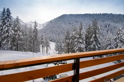 a view of a snow covered mountain with trees at Hotel Malyovitsa in Govedartsi