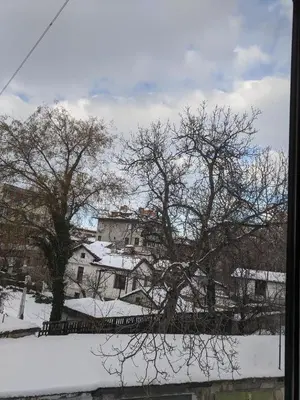 a tree in the snow with buildings in the background at Midtown Place Apartment DORIS 1 with garage in Plovdiv