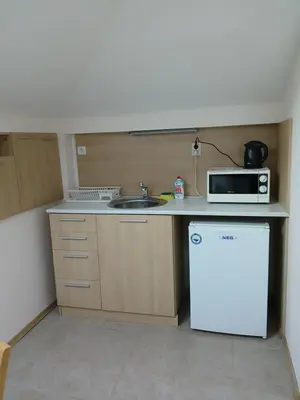 a small kitchen with a sink and a microwave at Guest rooms Bansko in Bansko
