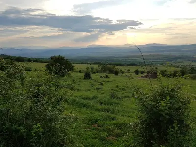 a field of grass with mountains in the distance at Апартаменти Гювийски in Sapareva Banya