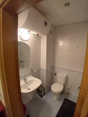 a small bathroom with a toilet and a sink at Cosy Apartment with terrace Eagle Rock in Beli Iskar