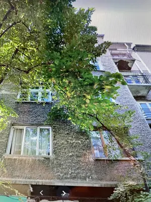 a building with two windows and a tree at Solunska Stylish Apartment in Sofia