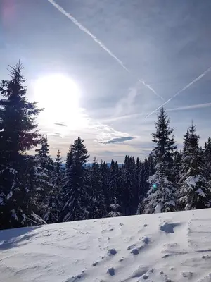 a snow covered hill with trees and the sun in the sky at Grand Monastery Violet Apartment With One Bedroom And A Terrace in Pamporovo