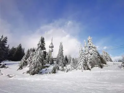 a group of trees covered in snow with a tower at Grand Monastery Violet Apartment With One Bedroom And A Terrace in Pamporovo