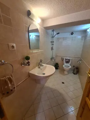 a bathroom with a sink and a toilet at Мальовица - къща за гости in Dospey Makhala