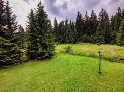 an aerial view of a field with trees at Studio 6,Smolyan lakes in Smolyan