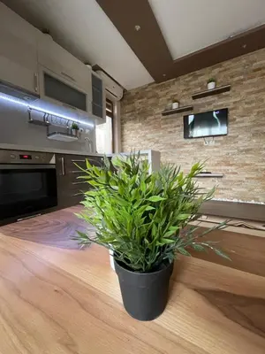 a potted plant sitting on a table in a kitchen at Guest House Amore in Sandanski