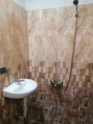 a bathroom with a sink and a shower at Лилянината къща in Kalofer