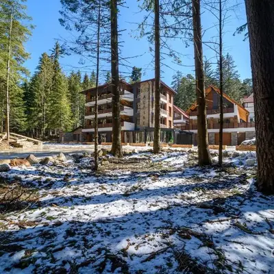 103 Alpine Hotel