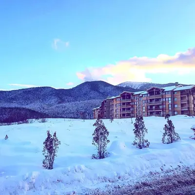 a group of trees in the snow in front of a building at Saint Ivan Ski Apartments in Bansko
