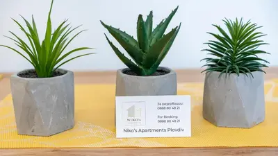 three plants in concrete pots sitting on a table at Niko's Cozy Apartment in Plovdiv