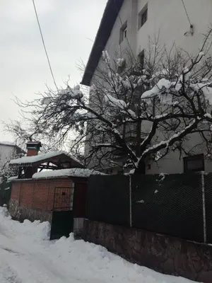a house with a fence and a tree covered in snow at Topuzovi Guest House in Dobrinishte