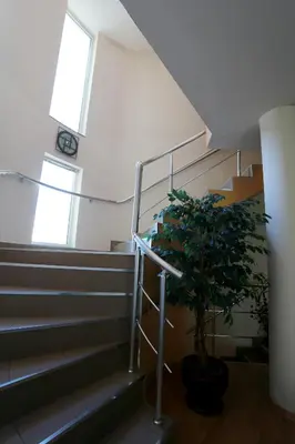 a staircase with a potted plant and a clock at Acropolis Hotel in Pazardzhik