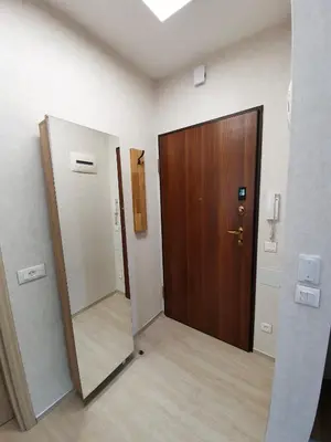a hallway with a wooden door and a mirror at Roza Home in Sofia