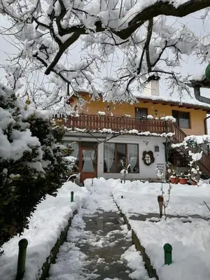 a house with a yard covered in snow at Къща за гости Градината in Dobrinishte