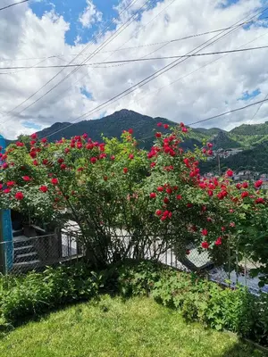 a bunch of red flowers on a fence at Къща за гости - Софи, гр. Девин in Devin