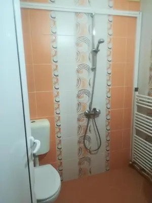 a bathroom with a shower with a toilet at Къща за гости - Софи, гр. Девин in Devin