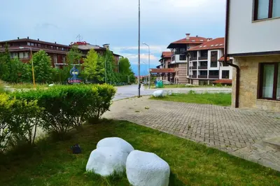 a group of rocks in the grass near a street at Cozy studio in 
