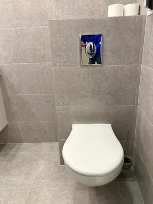 a bathroom with a toilet with a picture on the wall at Mountain View Magenta White apartment in Sofia