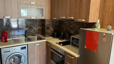a kitchen with a refrigerator and a sink and a dishwasher at Thea Apart in Sandanski
