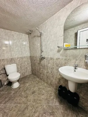 a bathroom with a toilet and a sink at Къща за гости Даутев Връх in Bansko