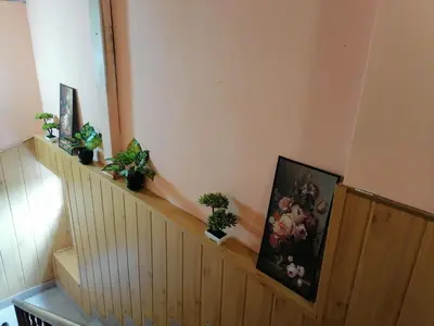 a staircase with potted plants on the wall at Guest House Shipkovo Hills in Shipkovo