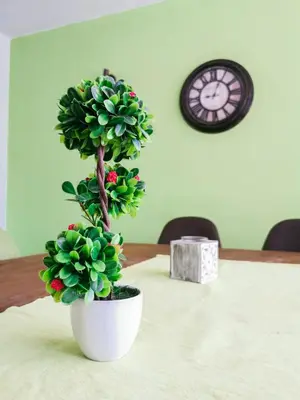 a plant in a white pot on a table with a clock at Вила Край реката in Botevgrad