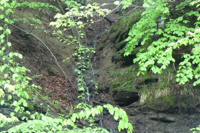 a dirt hillside with green trees and a creek at Nordic Villa Chiflika in Chiflik