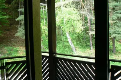 a window with a view of a forest at Nordic Villa Chiflika in Chiflik